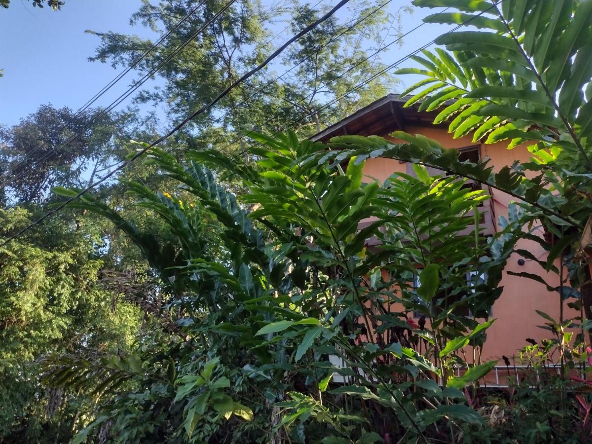 Flat Prumirim Ubatuba Dış mekan fotoğraf